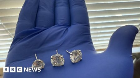 $ 769.500 anting ditemukan setelah pria Florida menelannya