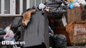 Birmingham Bin Strike menyebabkan gangguan besar di kota kedua Inggris