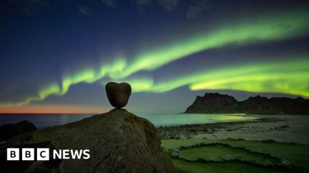 Gambar Anda dengan tema ‘foto terbaik saya’