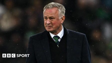 Irlandia Utara 1-1 Swiss: ‘banyak hal positif’ dalam imbang ramah – Michael O’Neill