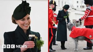 Kate Drinks Guinness, Pets Mascot di Perayaan Hari St Patrick