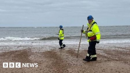 Plastik ‘Nurdles’ dicuci setelah tabrakan kapal Laut Utara