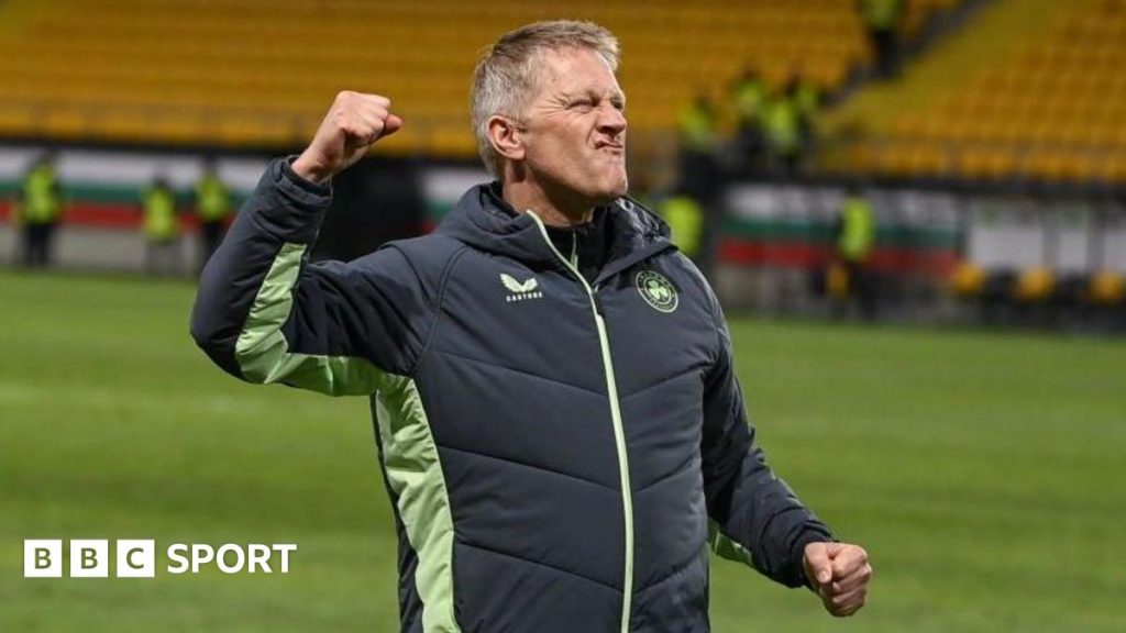 Republik Irlandia dapat melakukan ‘sedikit lebih baik’ setelah menang – Hallgrimsson