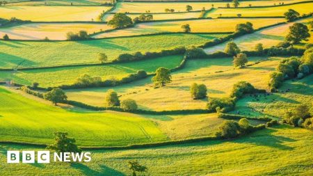 Skema Lingkungan Menutup ‘pukulan hancur’ untuk petani